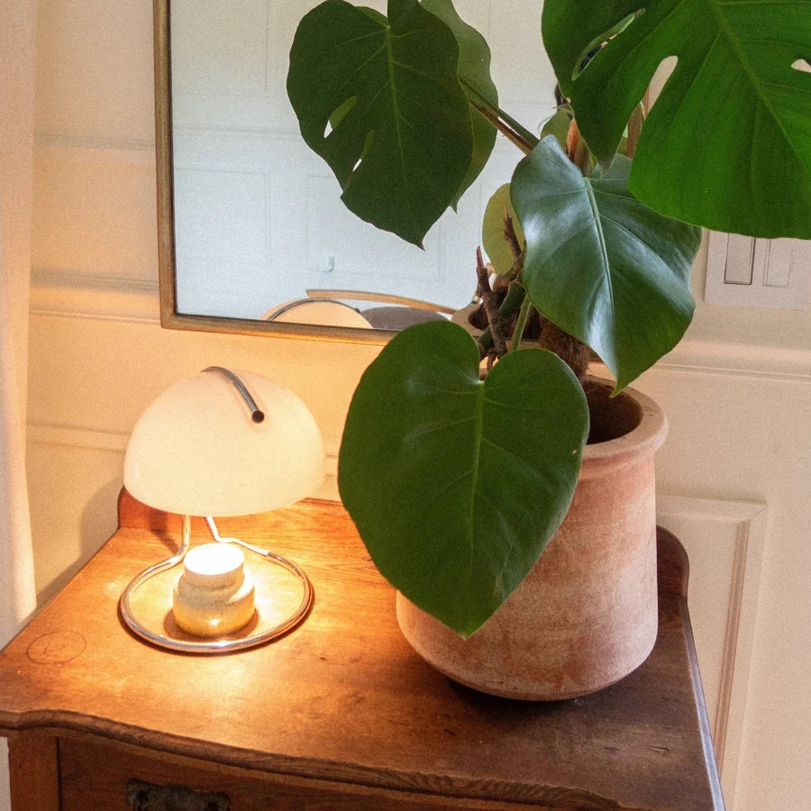Curva_Candle-Warmer-pic.webp